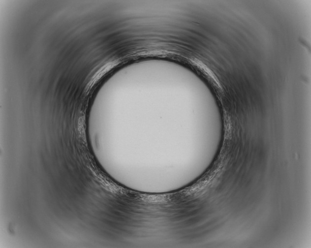 X0000097670874200802291458