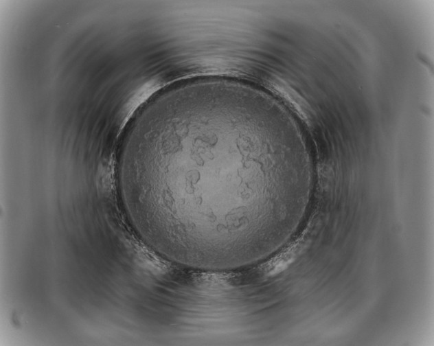 X0000097670875200802291458
