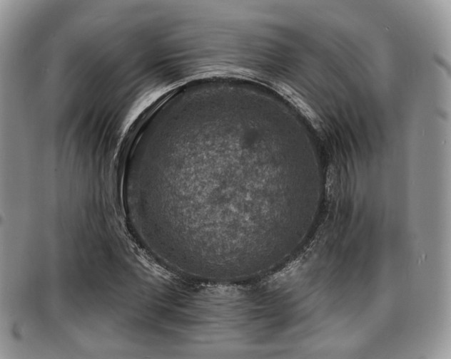 X0000097670877200802291458