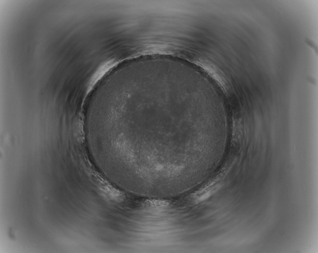 X0000097670878200802291458