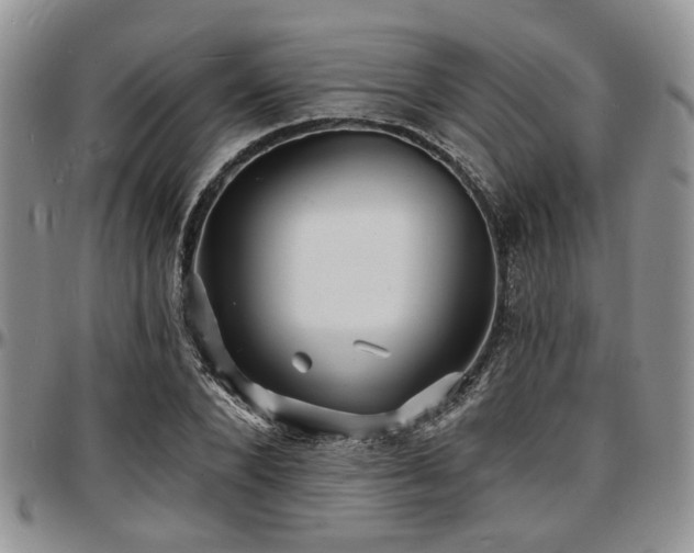 X0000097670880200802291458