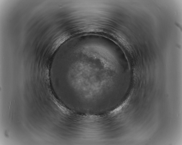 X0000097670881200802291458
