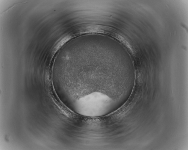 X0000097670882200802291458