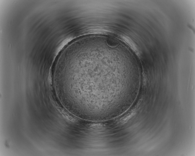 X0000097670883200802291457
