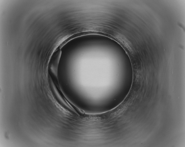 X0000097670884200802291457