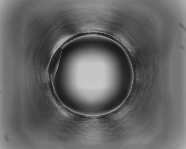 X0000097670885200802291457