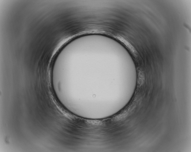 X0000097670886200802291457