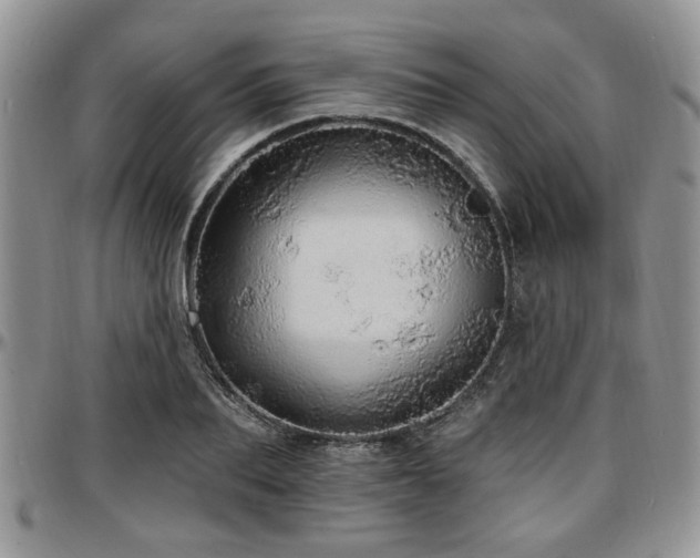 X0000097670887200802291457
