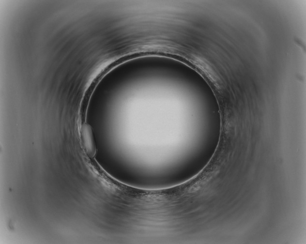 X0000097670888200802291457