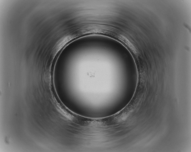 X0000097670890200802291457