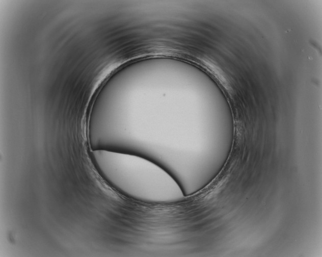 X0000097670891200802291457