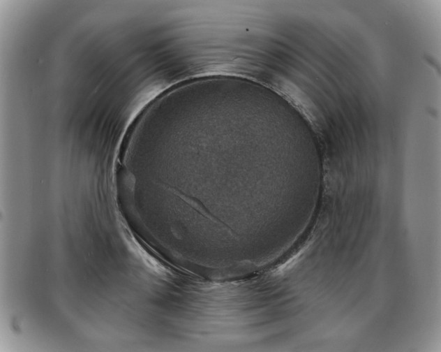 X0000097670892200802291457