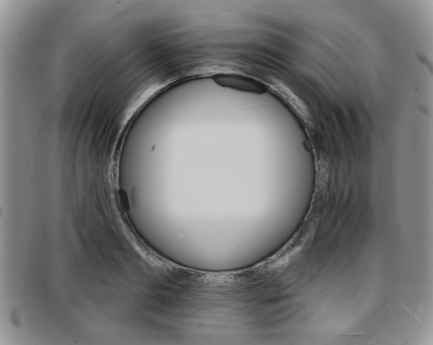 X0000097670893200802291457