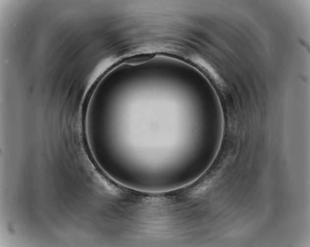 X0000097670894200802291457