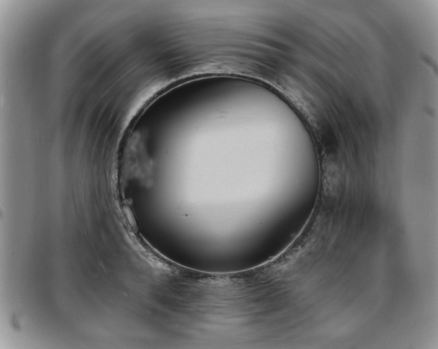 X0000097670896200802291457