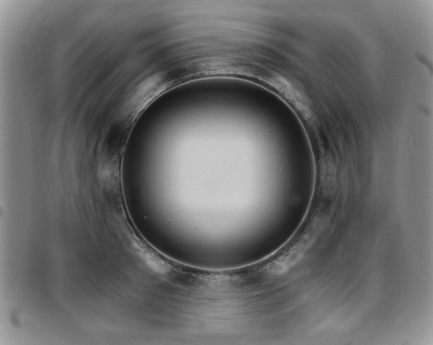 X0000097670897200802291457