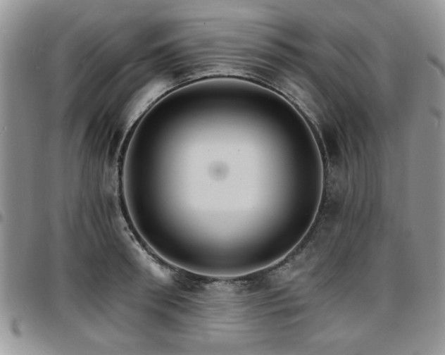 X0000097670898200802291457