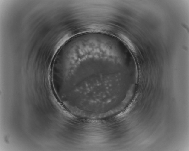 X0000097670899200802291457