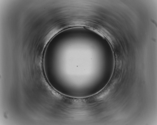 X0000097670901200802291457