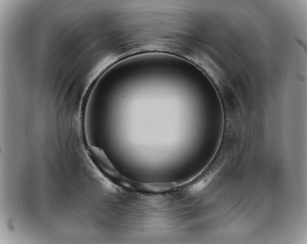 X0000097670902200802291457
