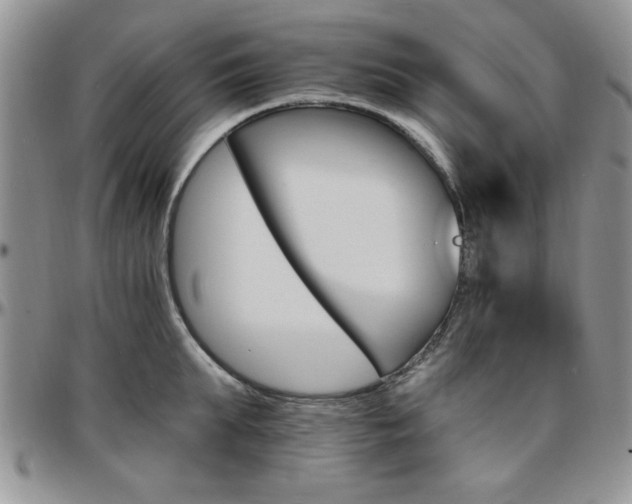 X0000097670903200802291457