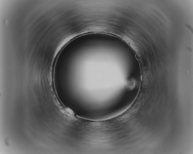 X0000097670904200802291457