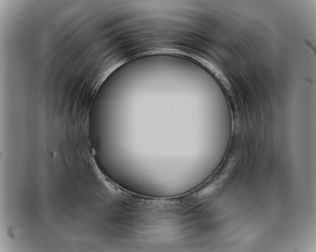 X0000097670905200802291457