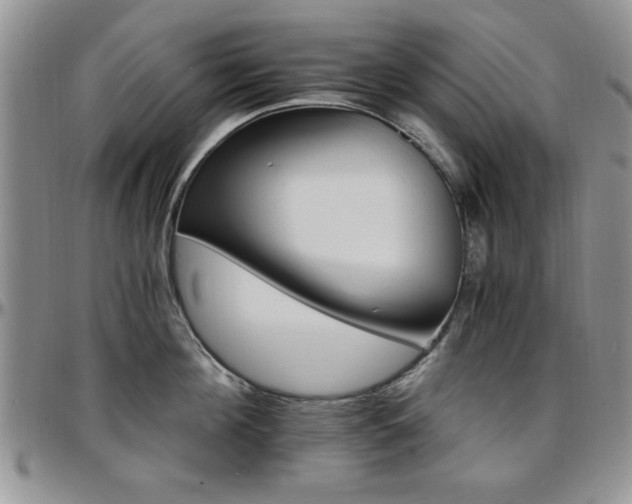 X0000097670908200802291457