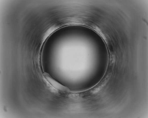 X0000097670909200802291457