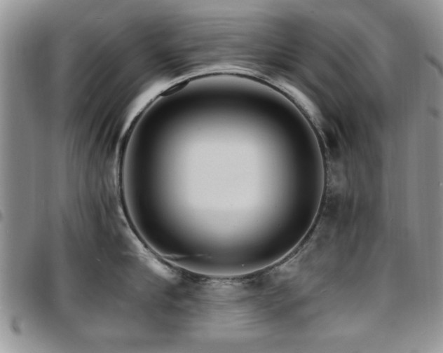 X0000097670910200802291457