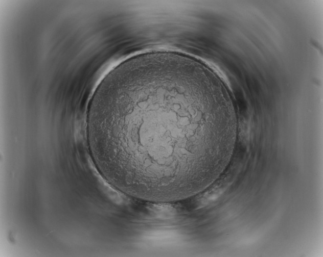 X0000097670911200802291457
