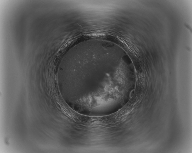 X0000097670913200802291456
