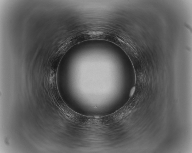 X0000097670914200802291456