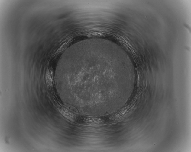 X0000097670915200802291456