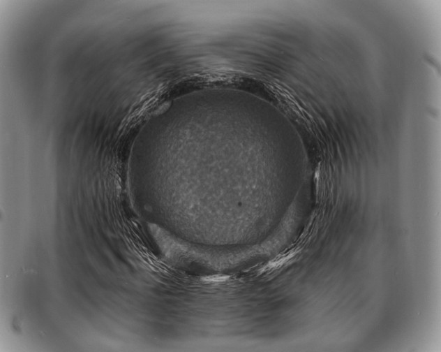 X0000097670916200802291456