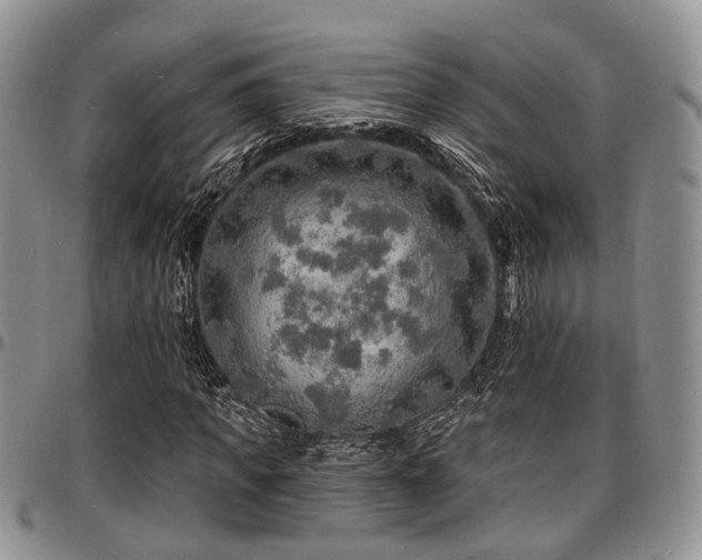 X0000097670917200802291456
