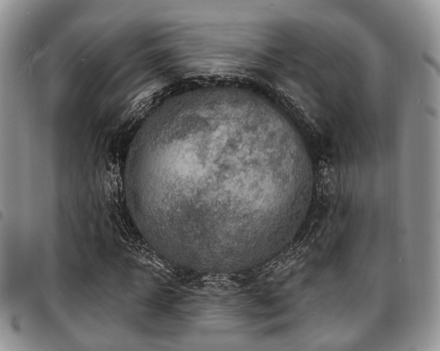 X0000097670918200802291456