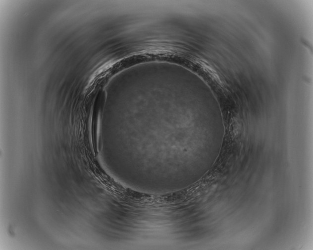 X0000097670920200802291456