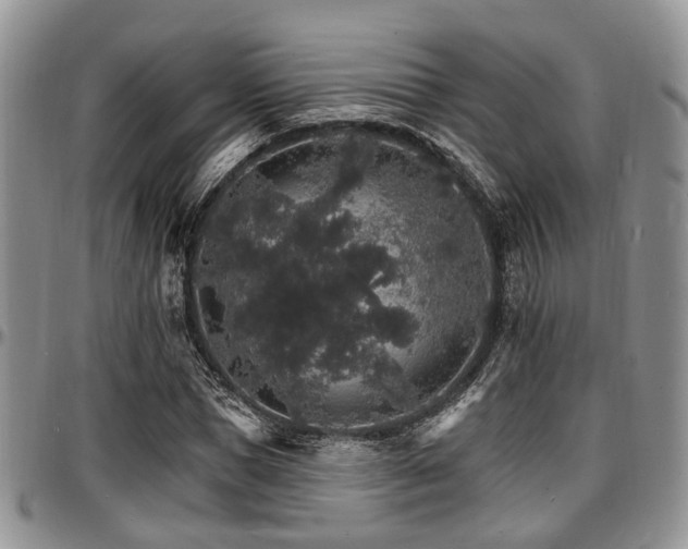 X0000097670921200802291456