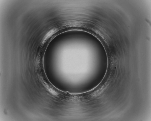 X0000097670922200802291456