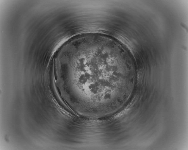 X0000097670925200802291457
