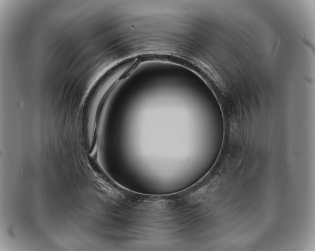 X0000097670926200802291457