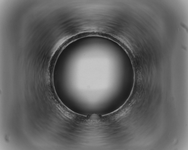 X0000097670927200802291457