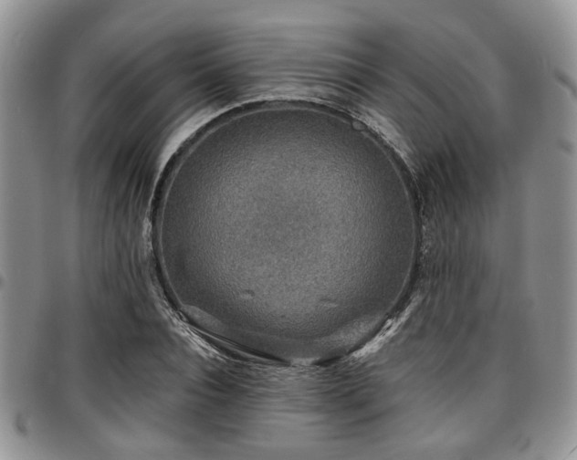 X0000097670928200802291457