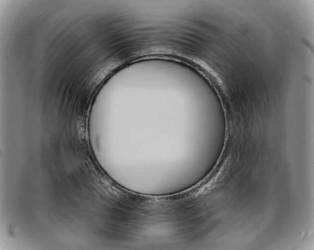 X0000097670929200802291457