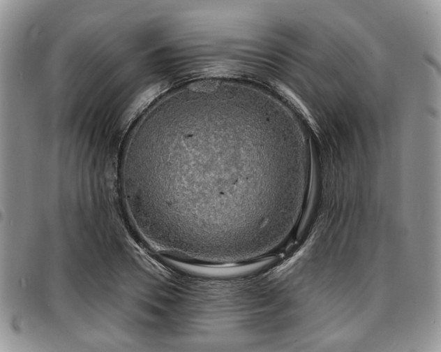 X0000097670930200802291457