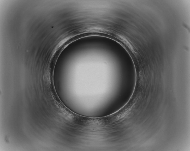 X0000097670931200802291457