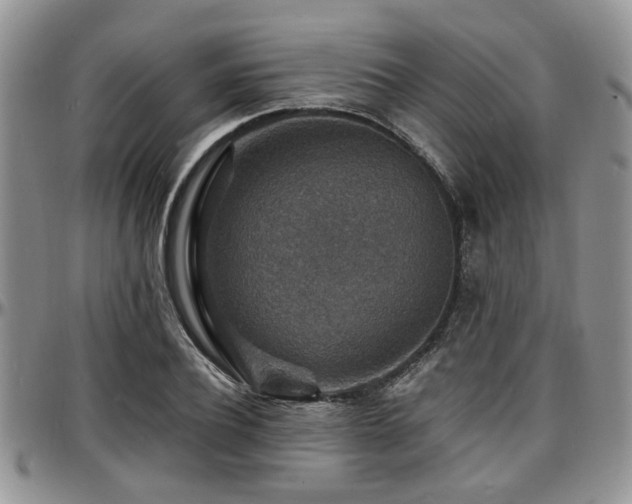 X0000097670932200802291457