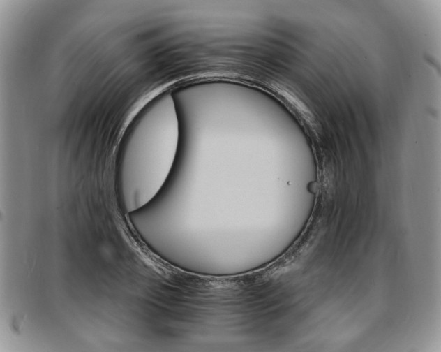X0000097670933200802291457