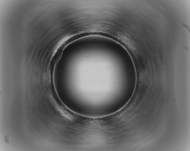X0000097670934200802291457